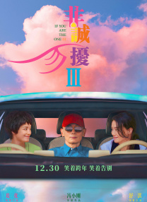 婷婷色亚洲