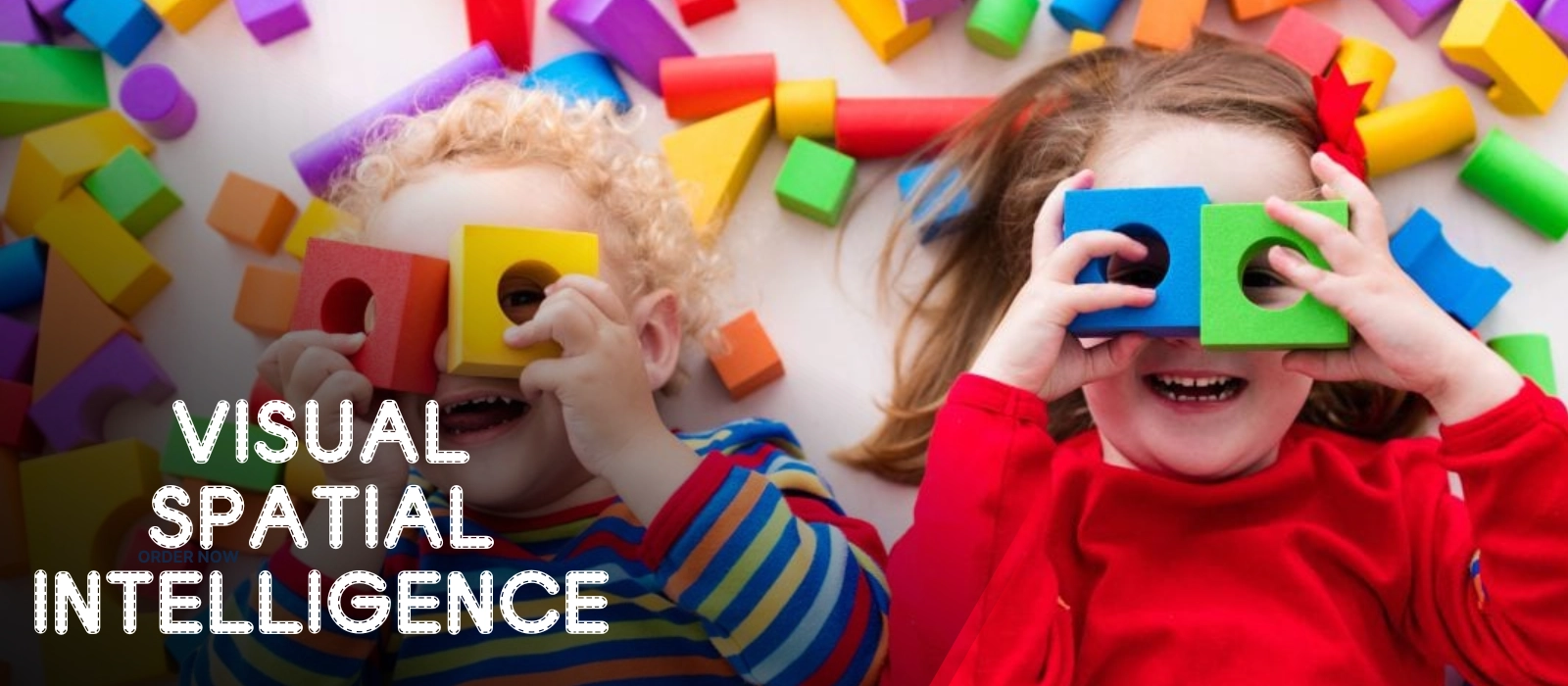 Visual Spatial Intelligence