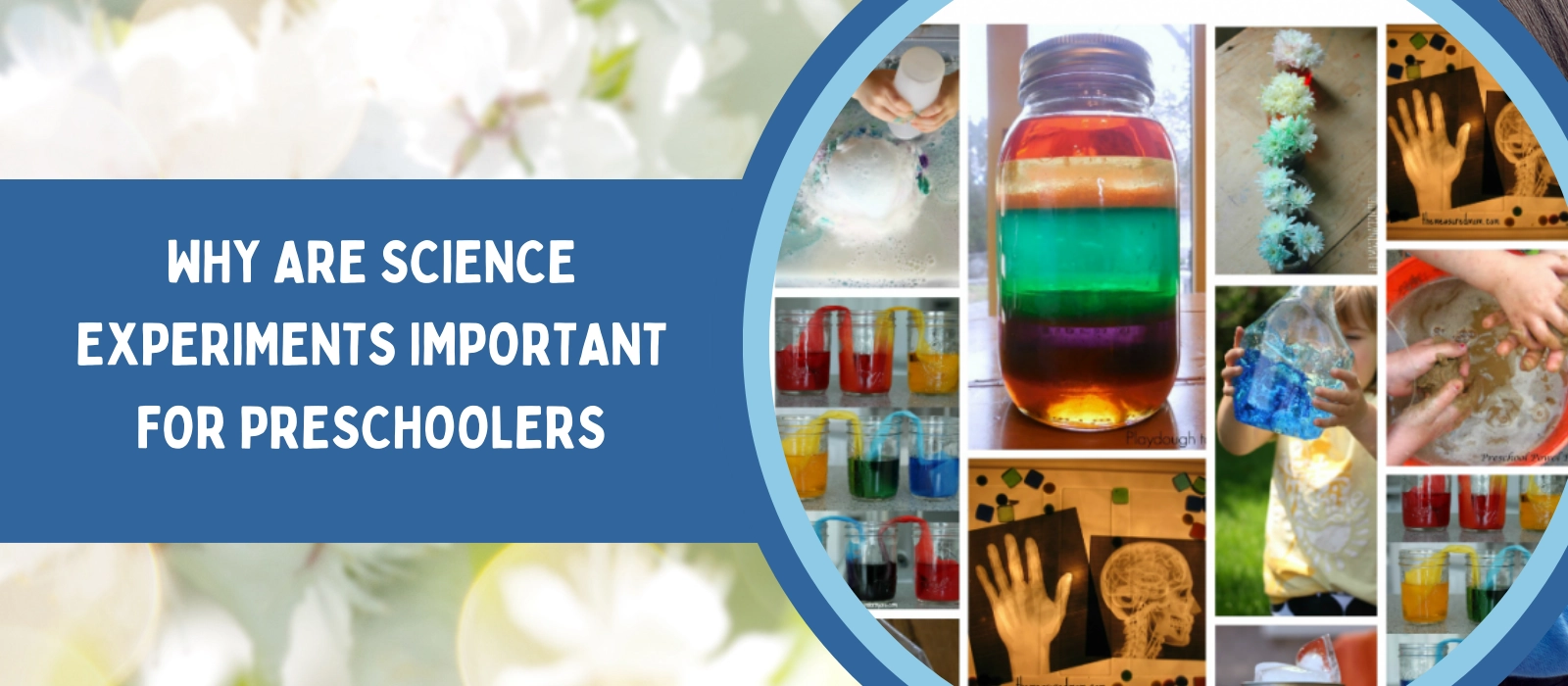 Why Are Science Experiments Important For Preschoolers